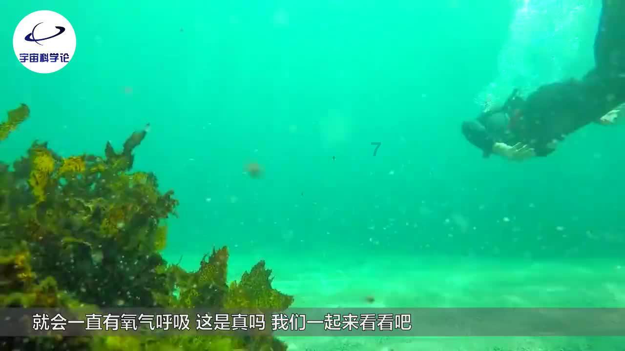 甜美公主的绚丽装扮