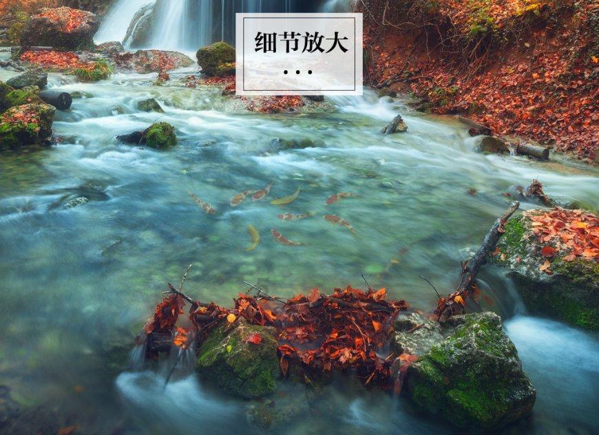 每公里花费低至0.3元,大、快、好、省一步到位用车出行体验